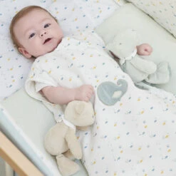 NATTOU Peluche Mini Roméo Le Croco -NATTOU Boutique jo083150152 2